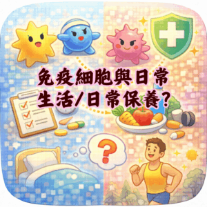 免疫細胞跟日常生活有什麼關係？可以怎麼做日常保養？