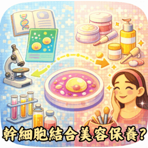 幹細胞是否可延伸至美容或保養討論？